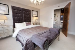 chestnut shadwell 58 sm.jpg